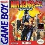 Ninja Gaiden Shadow Baixar Download em Português Traduzido PTBR
