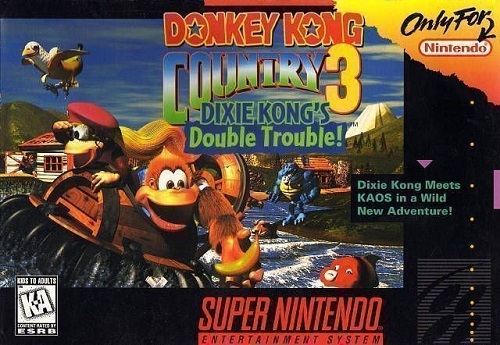 donkey kong country snes rom cool