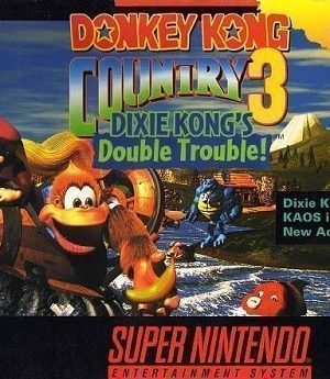 Donkey Kong Country 3 (SNES)