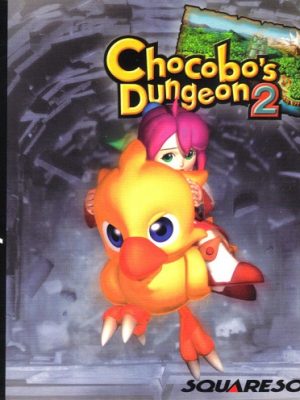 Chocobo's Dungeon 2
